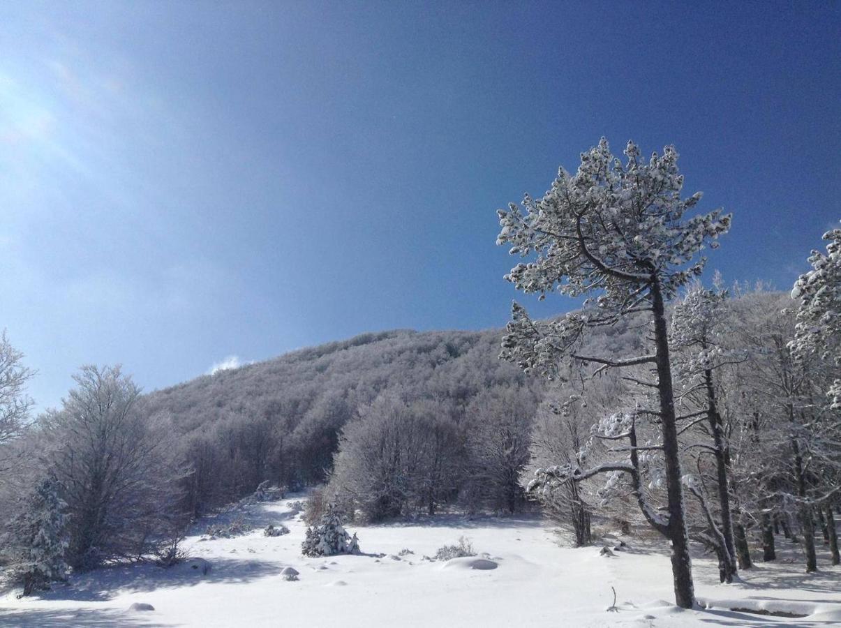לה סאל-לס-אלפ Hotel Mont Thabor Serre Chevalier מראה חיצוני תמונה